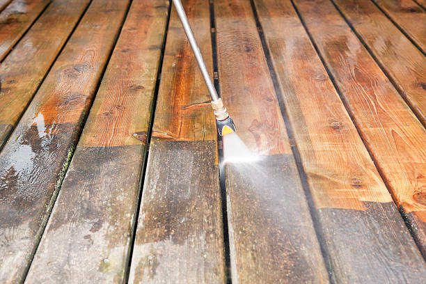Best Roof Washing  in Springfield, SD